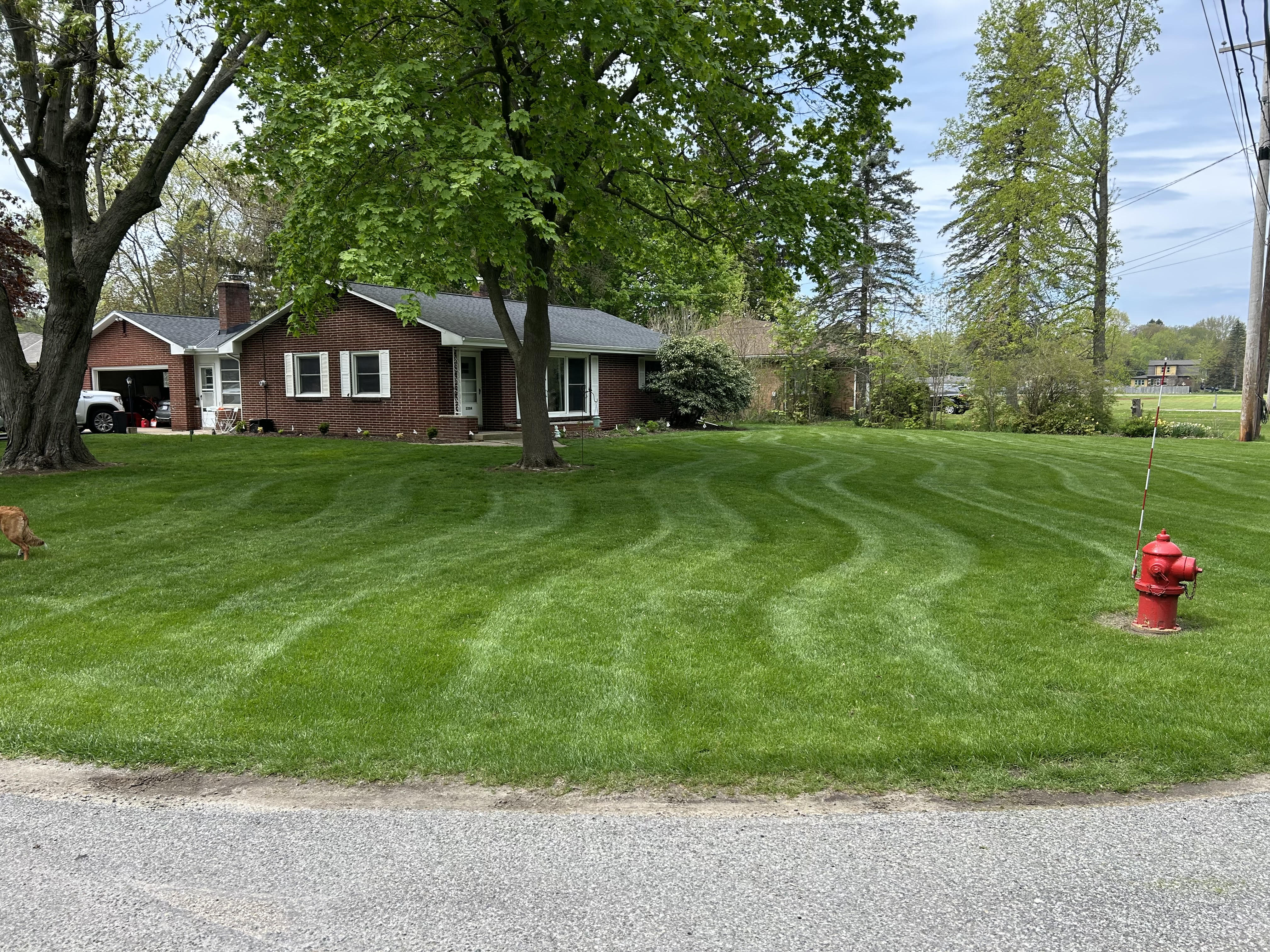 Freshly mowed lawn