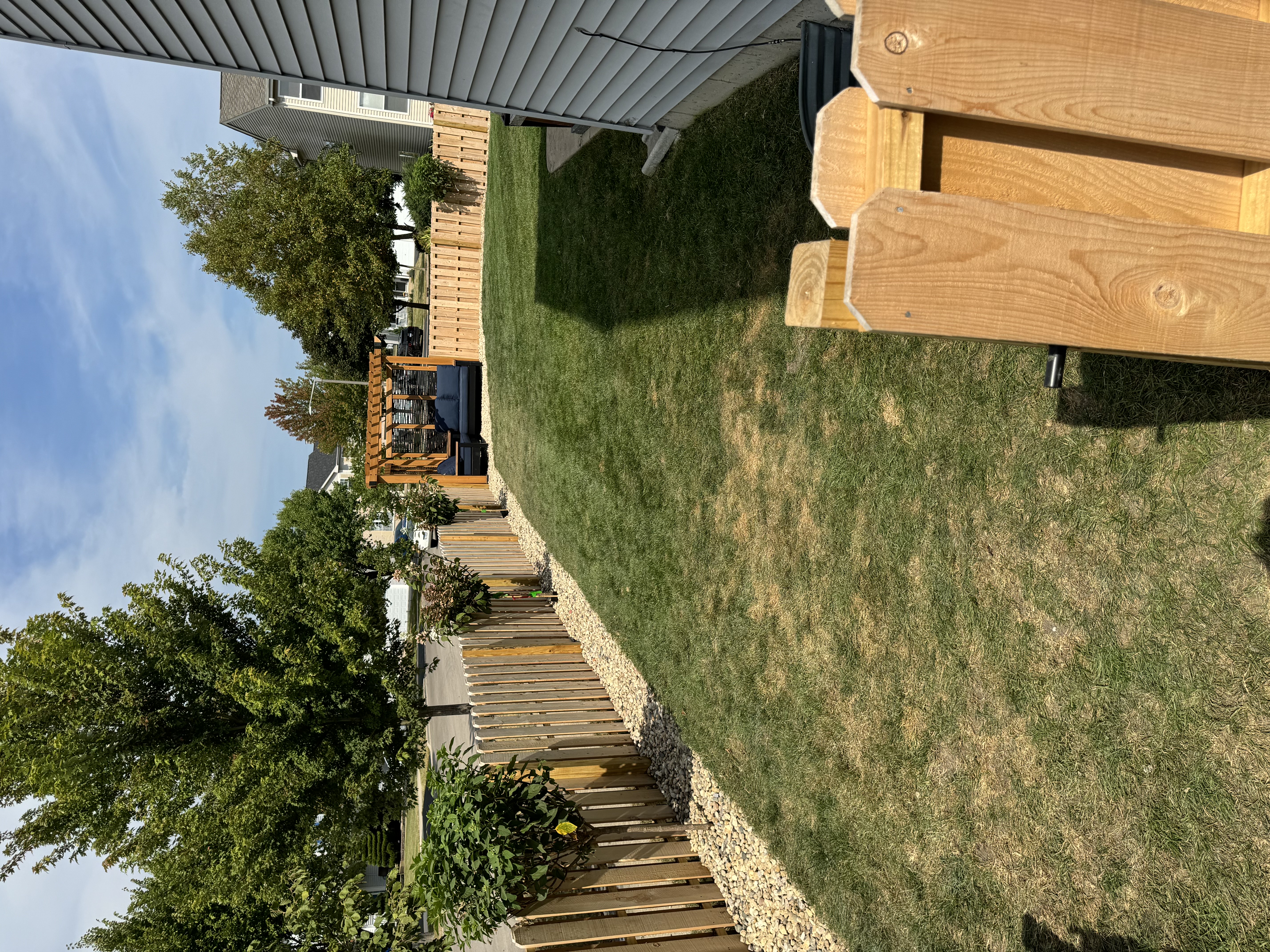 Freshly mowed lawn